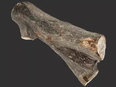 Piece of sawn tree wood 3d scan in highpoly 3D model