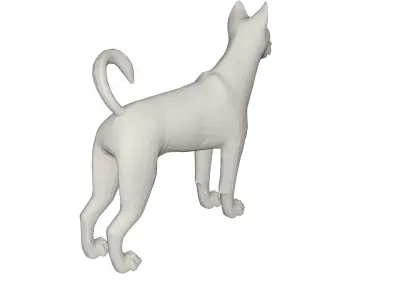 Husky chihuahua dog 3D model