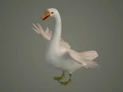 goose bird nature water grass animal neck  3D model