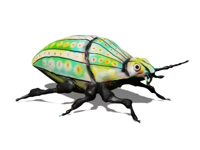 colorful beetle Low-poly 3D model