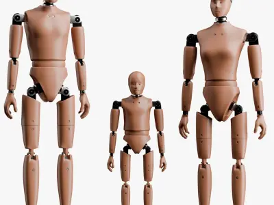 Crash Test Male Female and Child Dummy 3D model