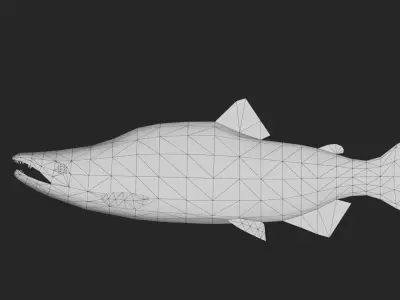 trout Low-poly 3D model