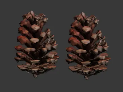 Pine cone  3D model