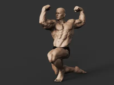 Bodybuilder 3D print model buy