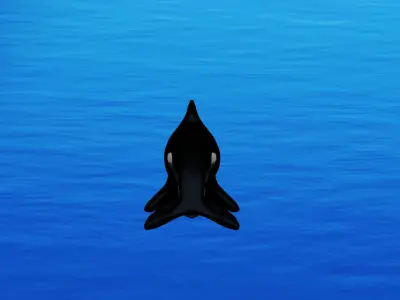 Orca Whale 3D model