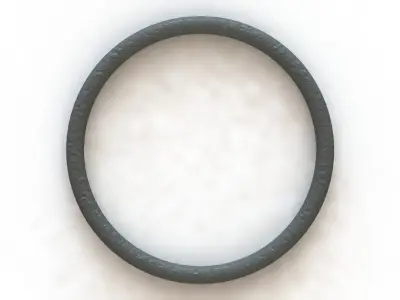 O Ring Vedabras 12892 3D model