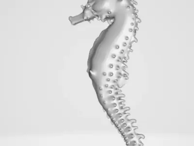 Seahorse 3D model purchase