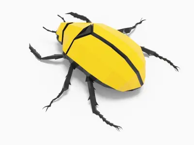 Bug low poly polygonal beetle Low-poly 3D model