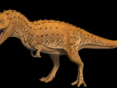 Kryptops t - rex Low-poly 3D model