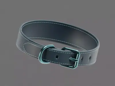 Dog Collar  Low-poly 3D model purchase