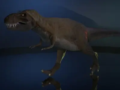 Tyrannosaurus Rex 3D model 5