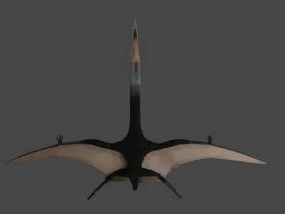Quetzalcoatlus Low-poly 3D model