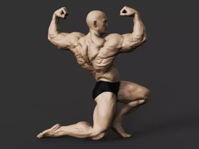 Bodybuilder 3D print model buy
