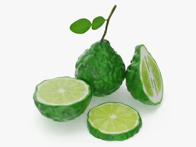 Bergamot Fruits 3D model