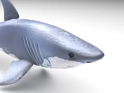 Animated and Rigged Swimming White Shark 3D model