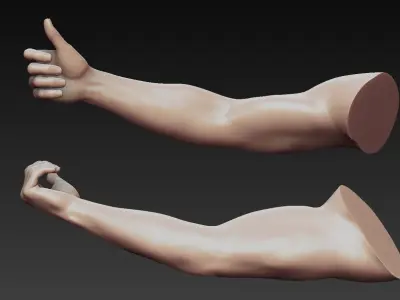 12 Male Arms 3D model