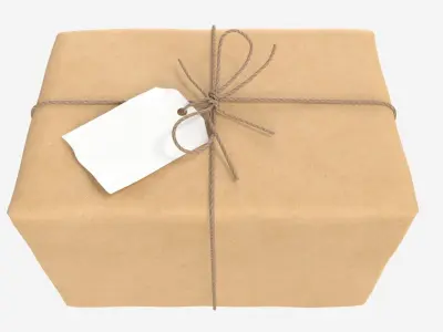 Parcel wrapped in kraft paper 3D model