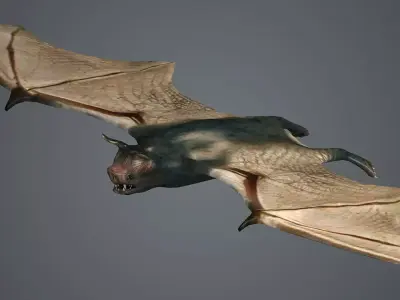 dark bat animated  rigg mammal bird flying vampire  3D model