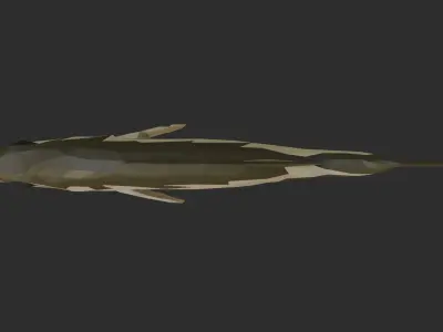 Low Poly Spotted Bass Low-poly 3D model