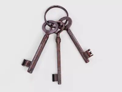 Set of Keys - 3 Rusty Skeleton Keys on Keychain Ring 3D model