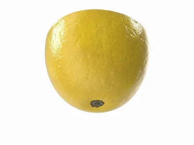  Lemon Slice(1)  purchase