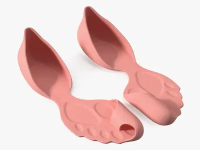 Anatomical Fashionable Shoes 