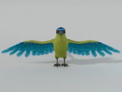 Barranquero Bird Low-poly 3D model