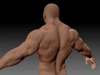 Male body 05 3D model