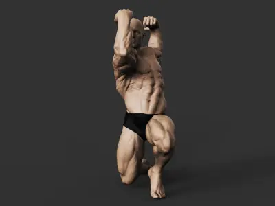 Bodybuilder 3D print model buy