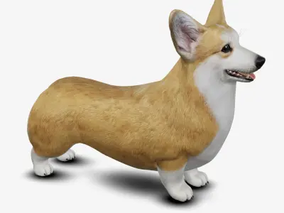 Dog Welsh Corgi Low-poly 3D model