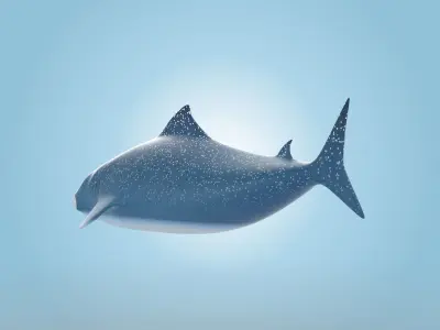 Whale Shark 3D model