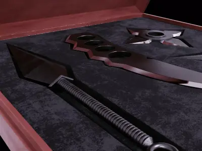 Ninja Tools 3D model