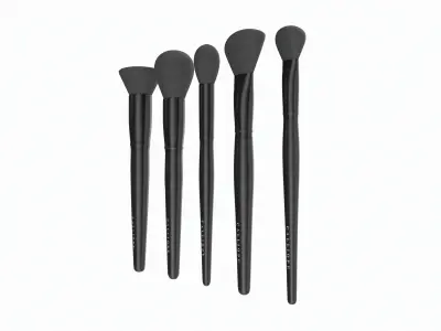 Face Brush Collection 5 Piece 3D model
