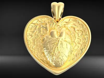 Human Heart pendant with bail  3D print model