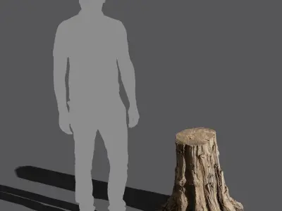  Medium Cut Splintered Stump Model 