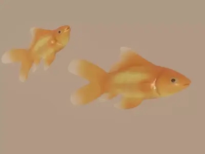 Goldfish 3D model get