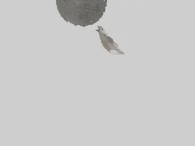 Koala Tail Low-poly 3D model