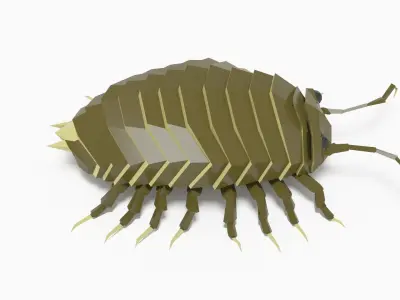 Bug low poly Low-poly 3D model buy