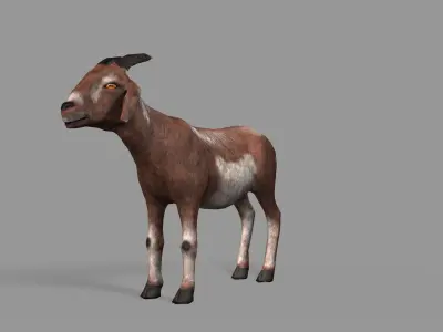 Goat Lowpoly horse Low-poly 3D model