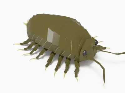 Bug low poly Low-poly 3D model buy