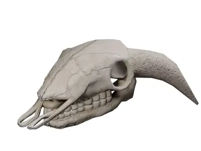 Game optimized Demon Cow Skull Creature Low-poly 3D model
