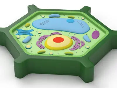 Plant Cell v5 3D model
