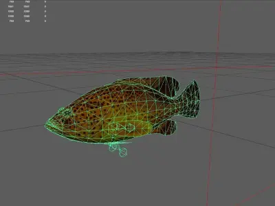Grouper Low-poly 3D model get