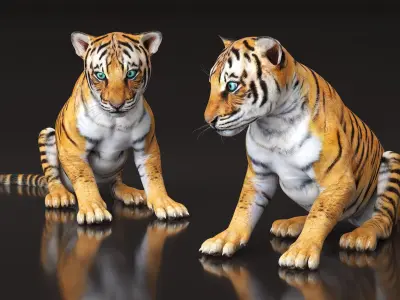 Tiger Cub Sitting 3D model