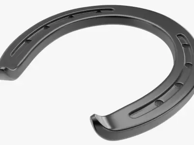 Horseshoe 2 3D model