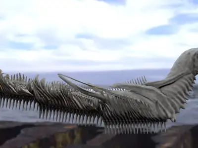 Scull Ship 3D model