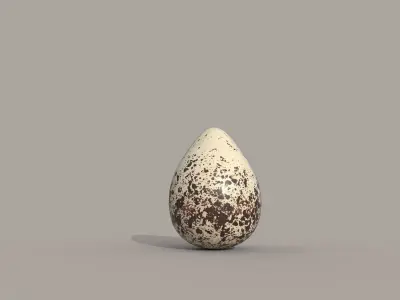 Killdeer Egg Low-poly 3D model