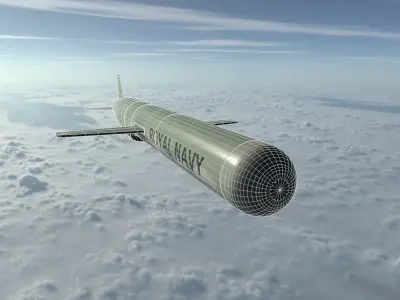 Tomahawk Missile Low-poly 3D model