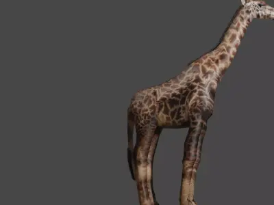 ANIMAL GIRAFFE Low-poly 3D model