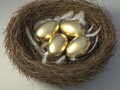 Birds Nest 3D model